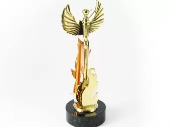 Paskatinimai ir apdovanojimai